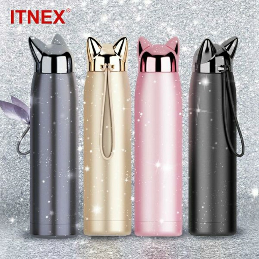 320ml/11oz Double Wall Thermos Water Bottle Stainl